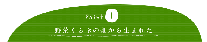 野菜くらぶの畑から生まれた