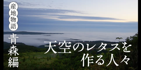 産地物語　青森編　天空のレタスを作る人々