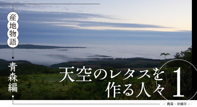 産地物語　青森編　天空のレタスを作る人々1