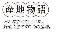 産地物語　汗と涙で作り上げた、野菜くらぶ3つの産地。